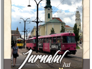 Jurnalul lui Ion Pocăitu'